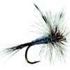 ADAMS MOOSETAIL